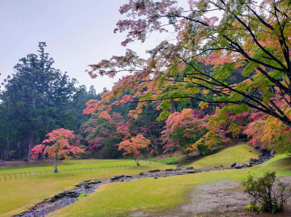 2025年岩手県 風景